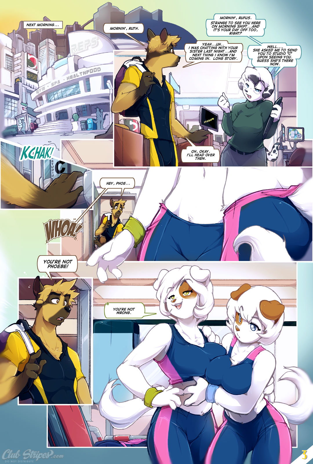 Page 3